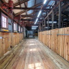 Warook Woolshed2